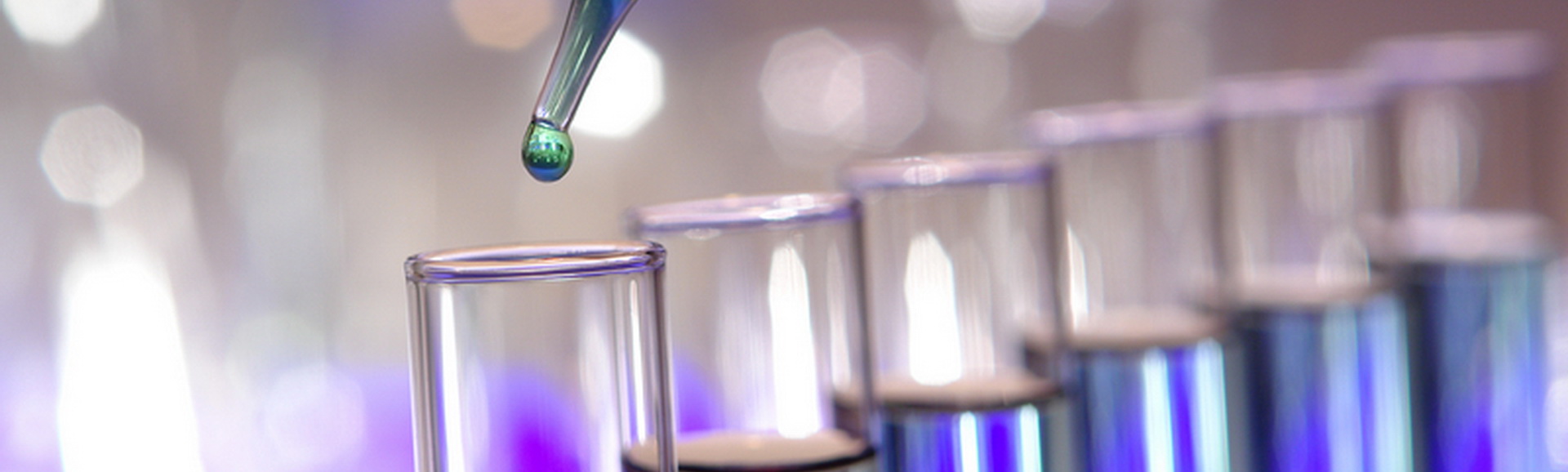 banner_slider02